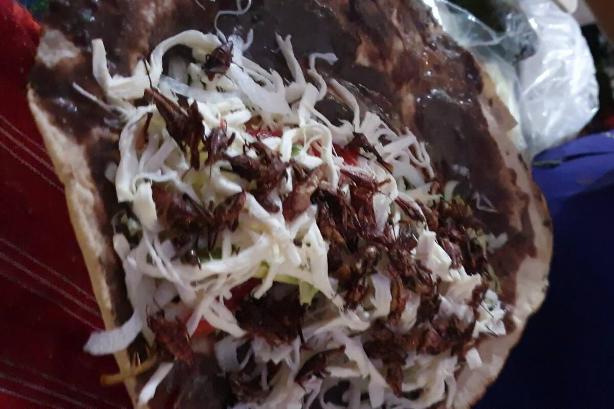 Crujiente "salto" de sabor: Chapulines