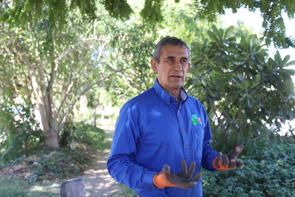 Hermosillo: Cristóbal crea el primer mini bosque urbano