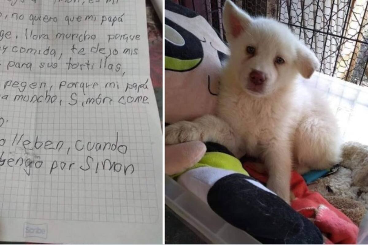 Niño regala a su perro porque su papá lo maltrataba