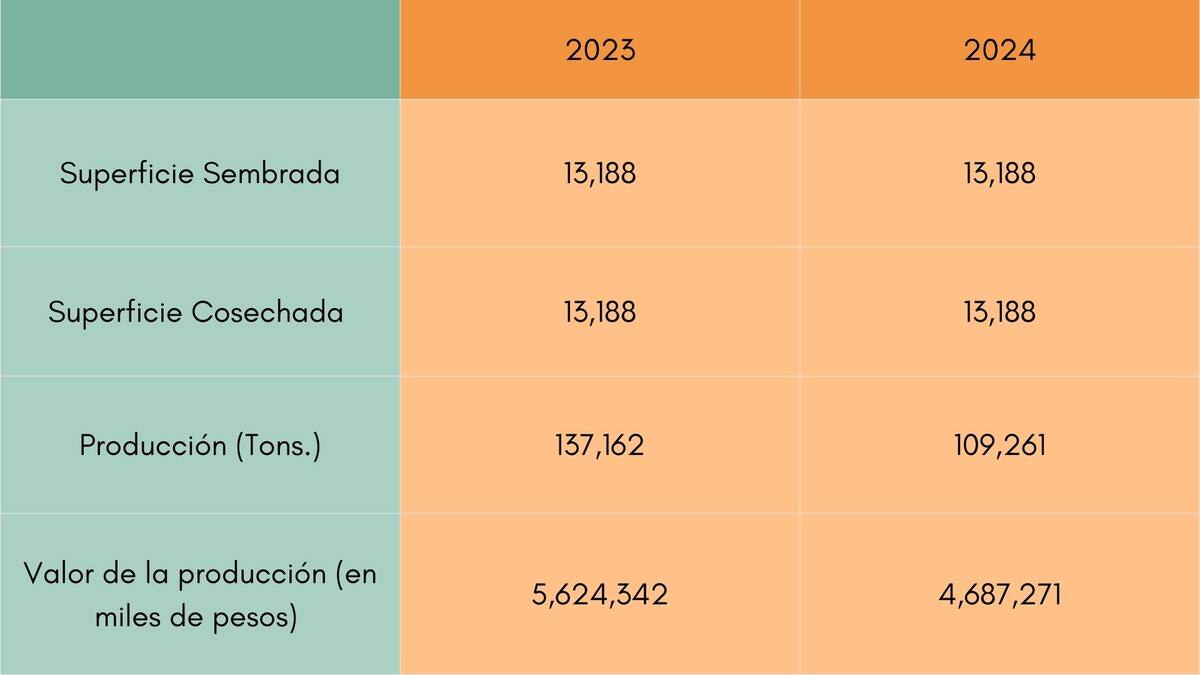 Comparativa de resultados 2023-2024
