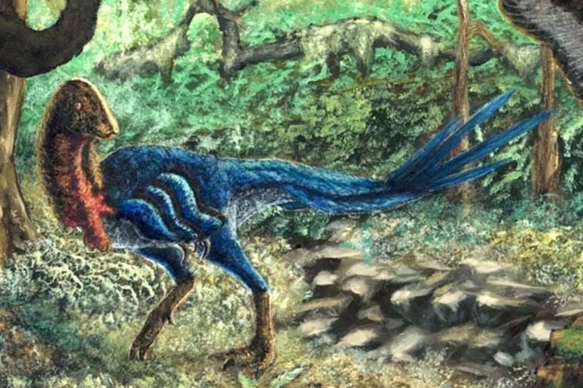 Estudiante de Oklahoma descubre una nueva especie de dinosaurio al examinar fósiles para un proyecto escolar