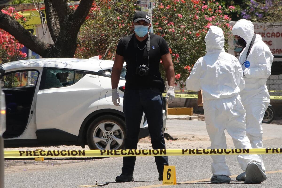 5 candidatos fueron asesinados en México en enero, según una ONG