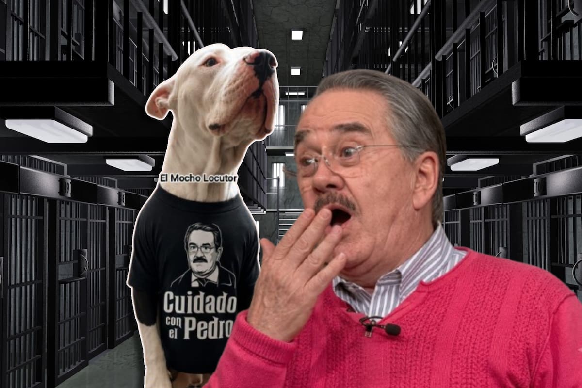 Tras caso Pedro Sola, diputados buscarán castigar la apología de maltrato animal e incluso proponen cárcel al cometerlo