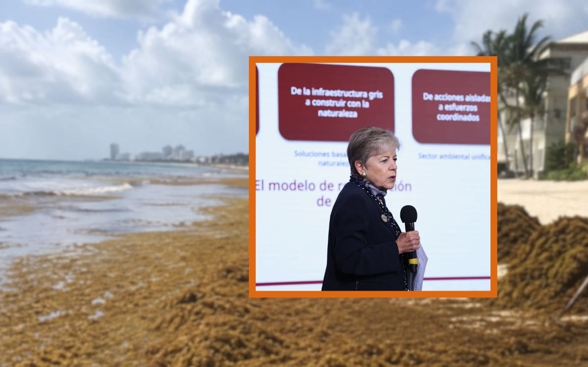 Quintana Roo enfrenta la llegada de 9 mil toneladas de sargazo al día y el Gobierno busca retirarlo antes de que se vuelva tóxico. | Crédito: Presidencia/Imagen ilustrativa de IA (ChatGPT)