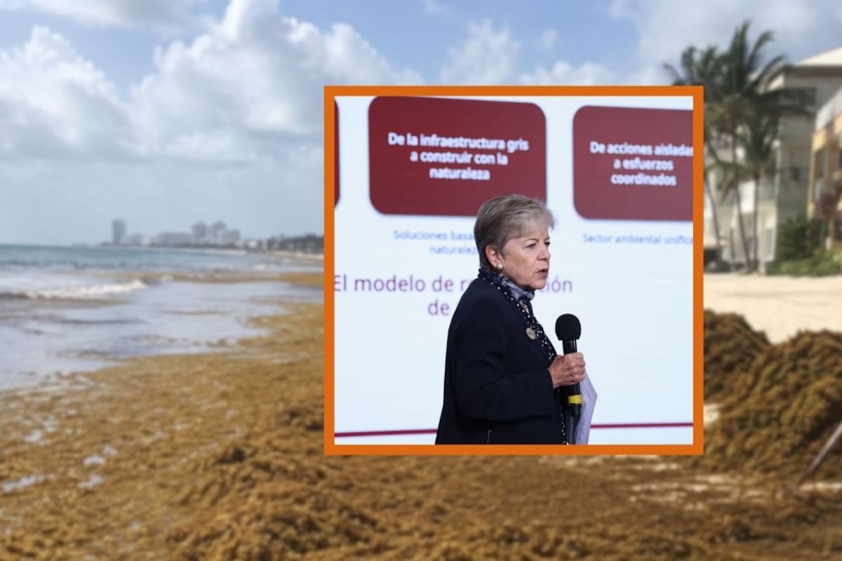 Alicia Bárcena admite que arribo de sargazo en Quintana Roo es “gravísimo”: llegan 9 mil toneladas al día y el Gobierno busca retirarlo antes de que se vuelva tóxico