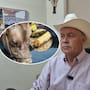 Preocupa a ganaderos del Valle del Yaqui avance del gusano barrenador
