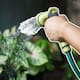 ¿Cada cuánto debes regar tus plantas en verano para evitar que mueran por el calor y cómo saber si les falta o les sobra agua?