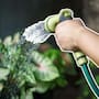 ¿Cada cuánto debes regar tus plantas en verano para evitar que mueran por el calor y cómo saber si les falta o les sobra agua?