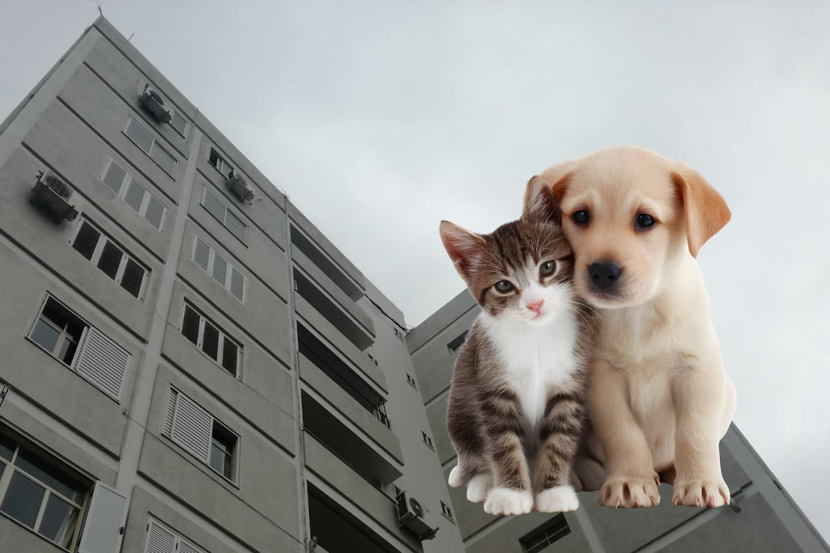 CDMX prohíbe negar vivienda a personas con niños o mascotas