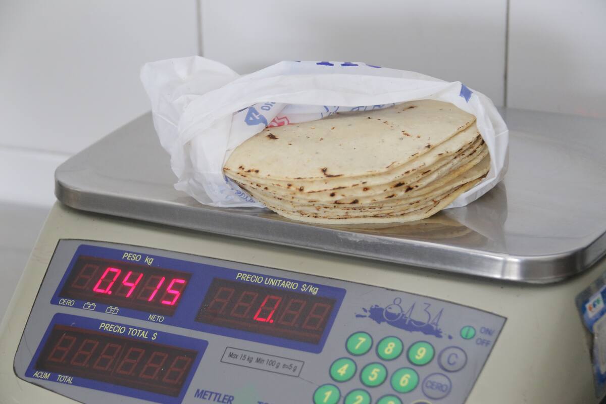 Tortilla debe venderse en precio promedio de $15.50: Profeco