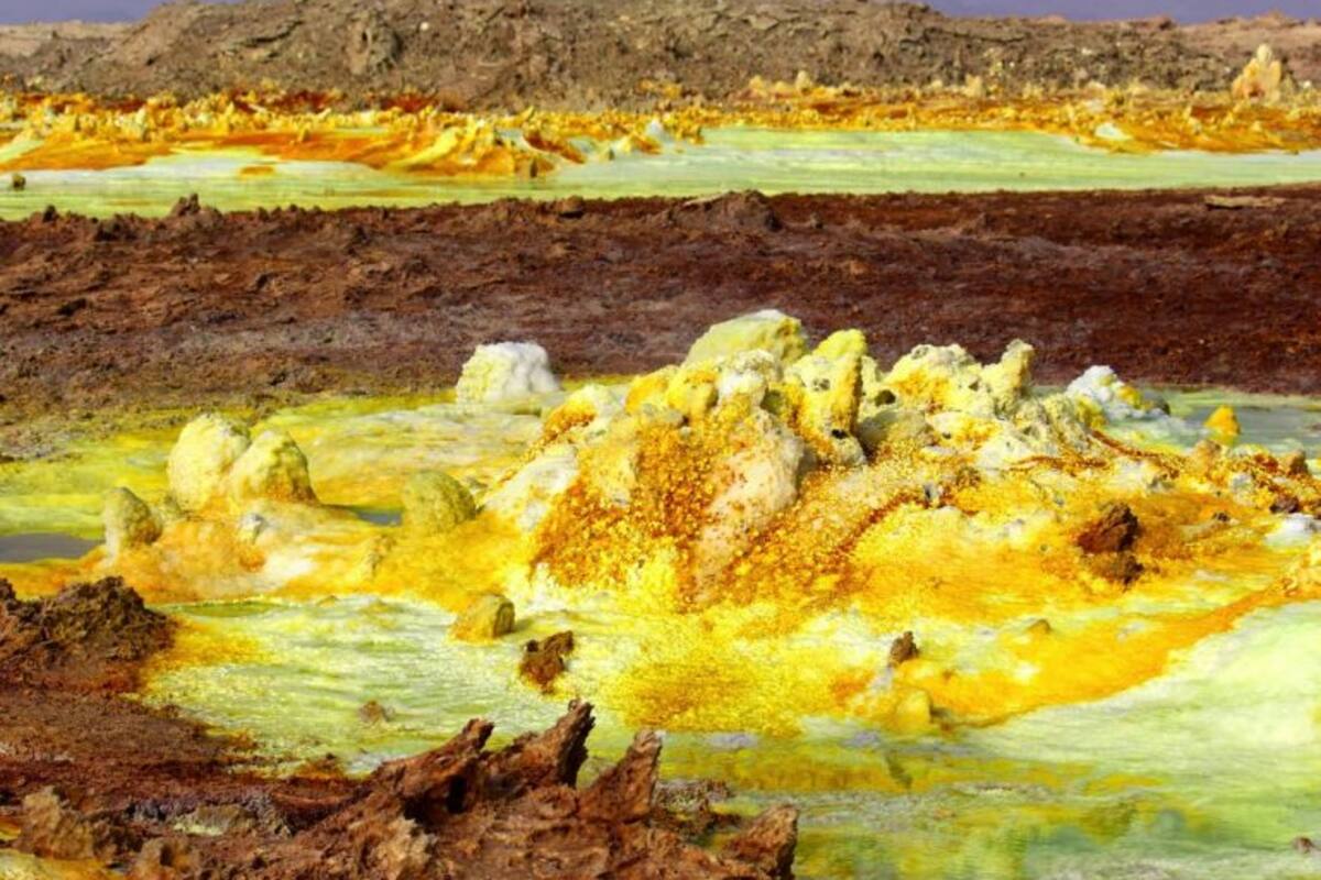 Hallan vida en el lugar más caliente de la tierra