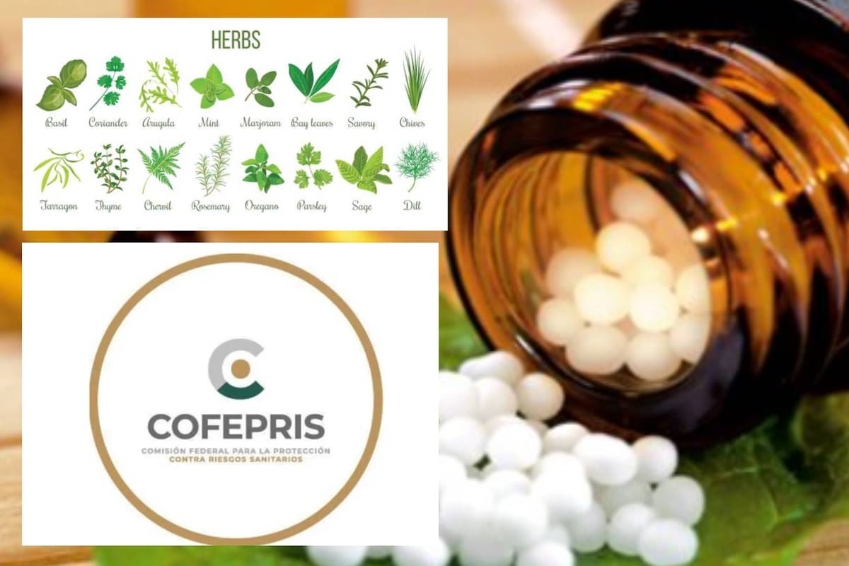 Cofepris abre consulta pública para nuevo etiquetado de remedios herbolarios y homeopáticos: qué propone la norma y por qué genera preocupación en el sector