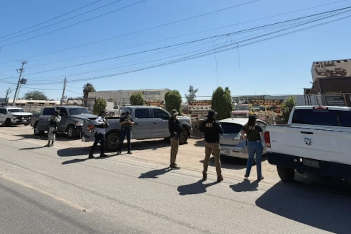 Localizan cinco vehículos con reporte de robo tras cateo en yonke