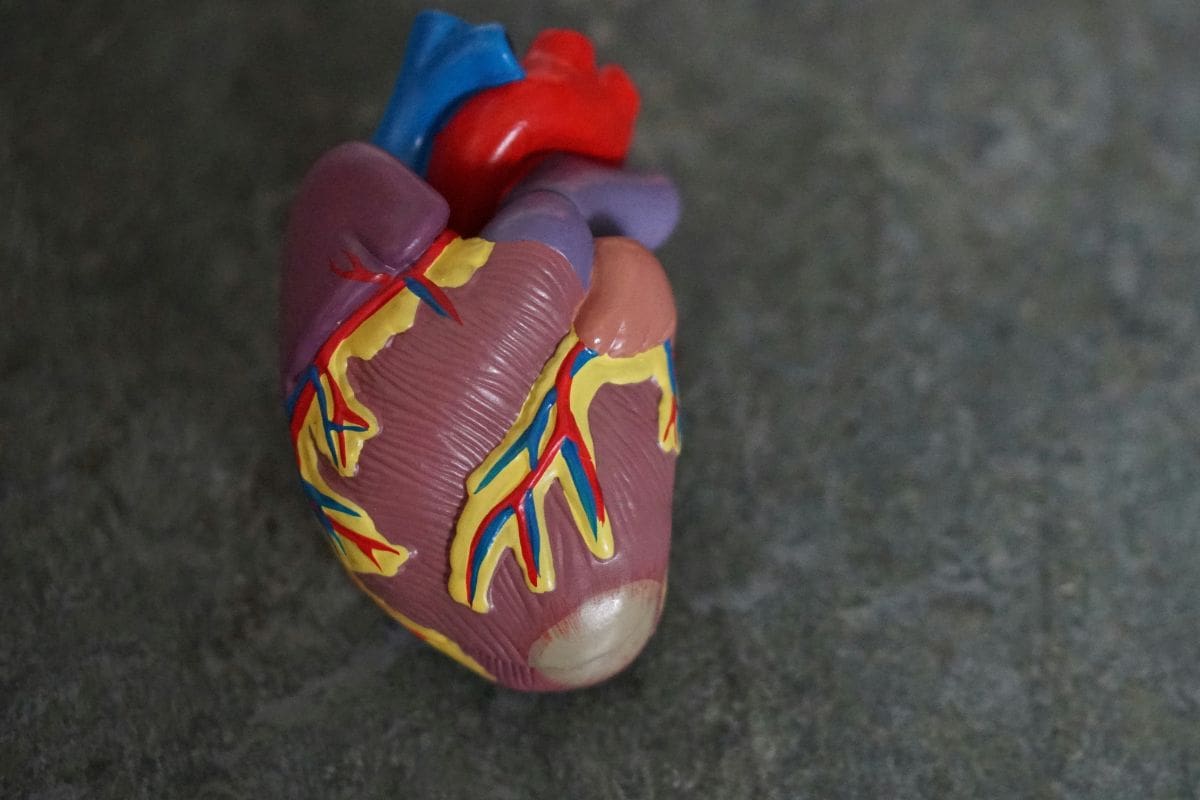 ¿Cómo prevenir los infartos en jóvenes?: la nueva ‘’epidemia’' silenciosa que avanza entre los 30 y 45 años