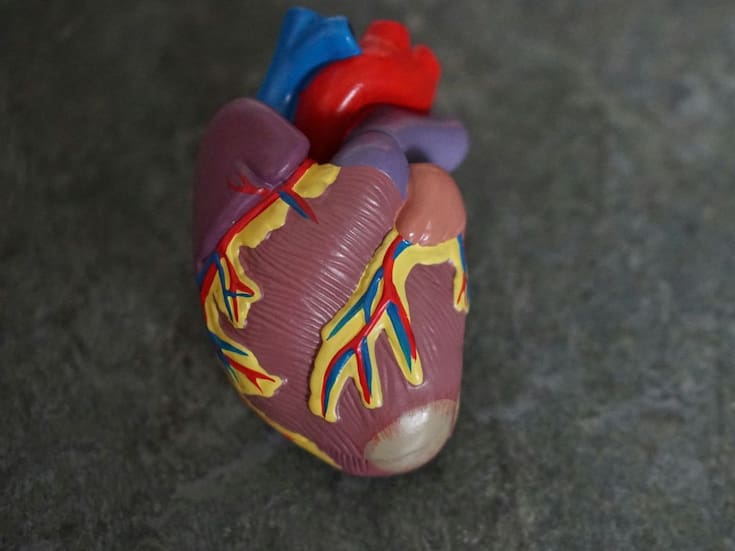 ¿Cómo prevenir los infartos en jóvenes?: la nueva ‘’epidemia’' silenciosa que avanza entre los 30 y 45 años