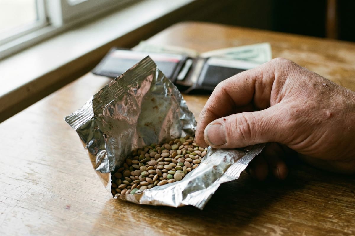 Prácticas de Feng Shui recomiendan llevar lentejas envueltas en papel aluminio en la billetera como símbolo de abundancia y protección del dinero en la vida cotidiana