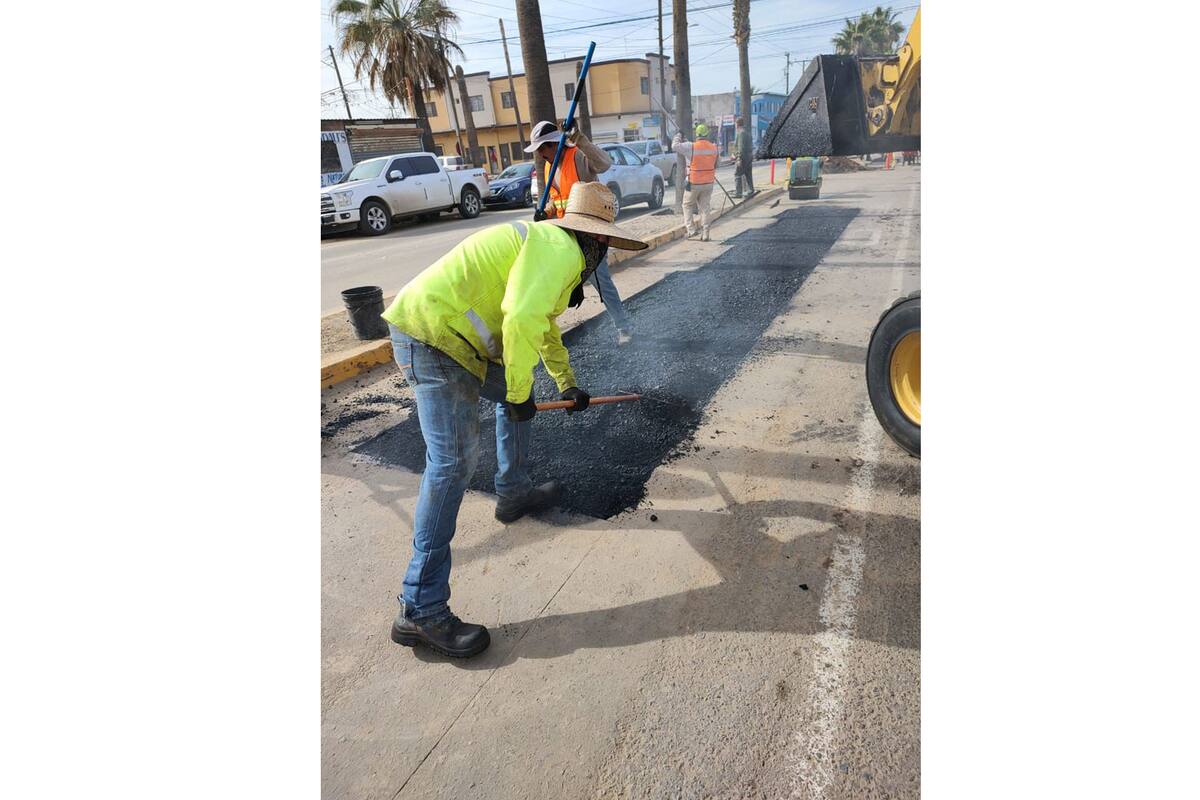 Constructores de Ensenada piden contratar empresas locales
