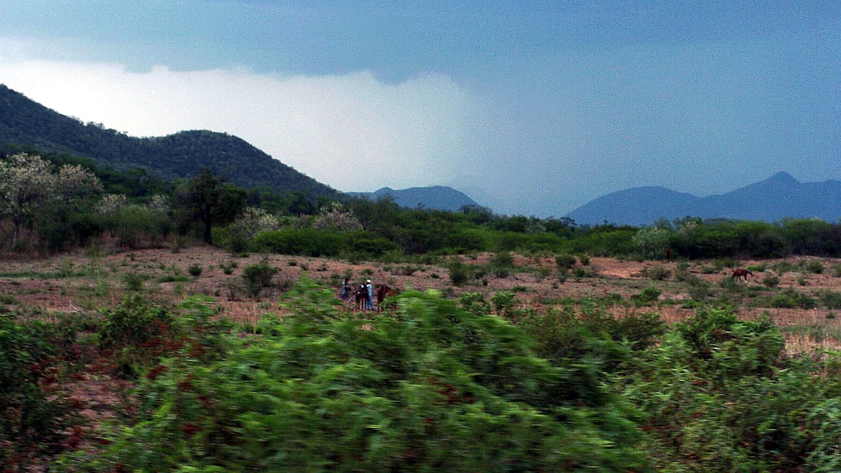 Sonora tendrá lluvias y vientos fuertes, con mayor probabilidad en municipios del norte