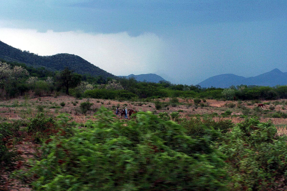 Se esperan lluvias en más de 20 municipios de Sonora este fin de semana; vientos fuertes impactarán al Estado