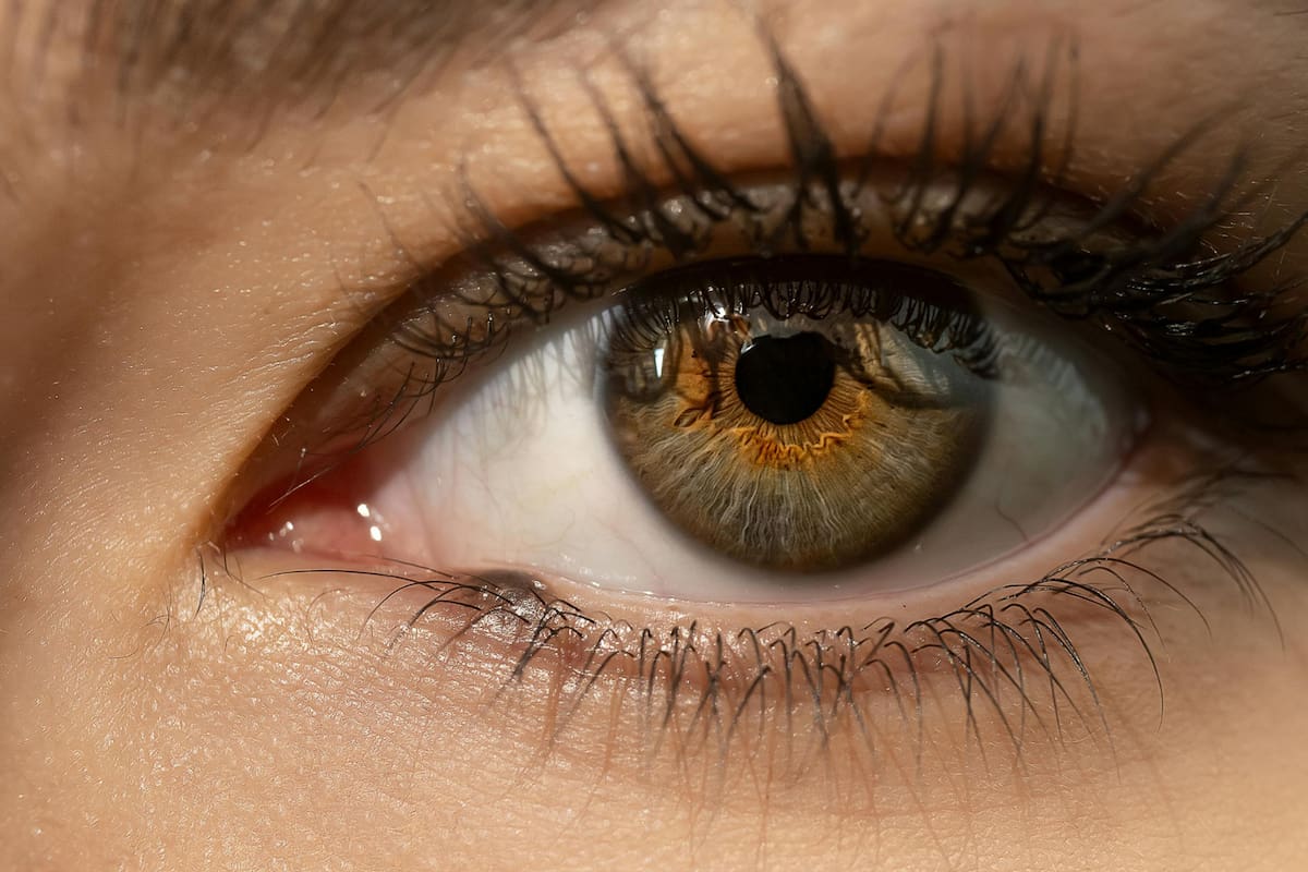 Síndrome del ojo seco: causas, síntomas y cuidados esenciales para proteger la vista