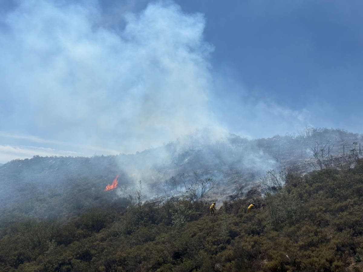 La zona de Ojos Negros es considerada propensa a incendios forestales debido a sus extensas áreas de vegetación seca y condiciones climáticas áridas. Foto. Cortesía