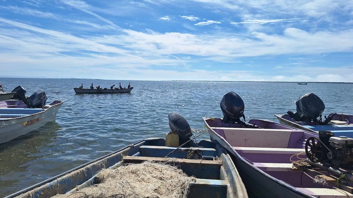 Santa Bárbara | Jesús Palomares