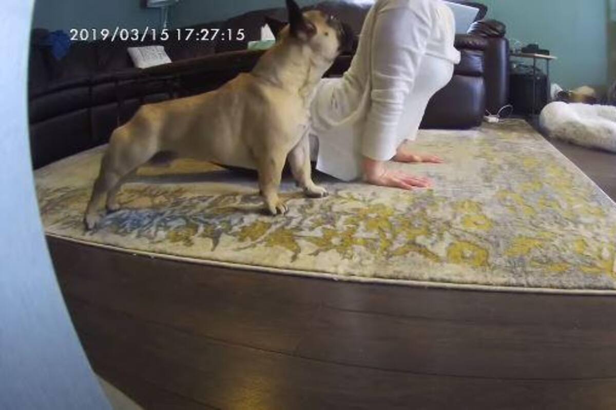 VIRAL: Esta mujer hace ejercicio con su mascota