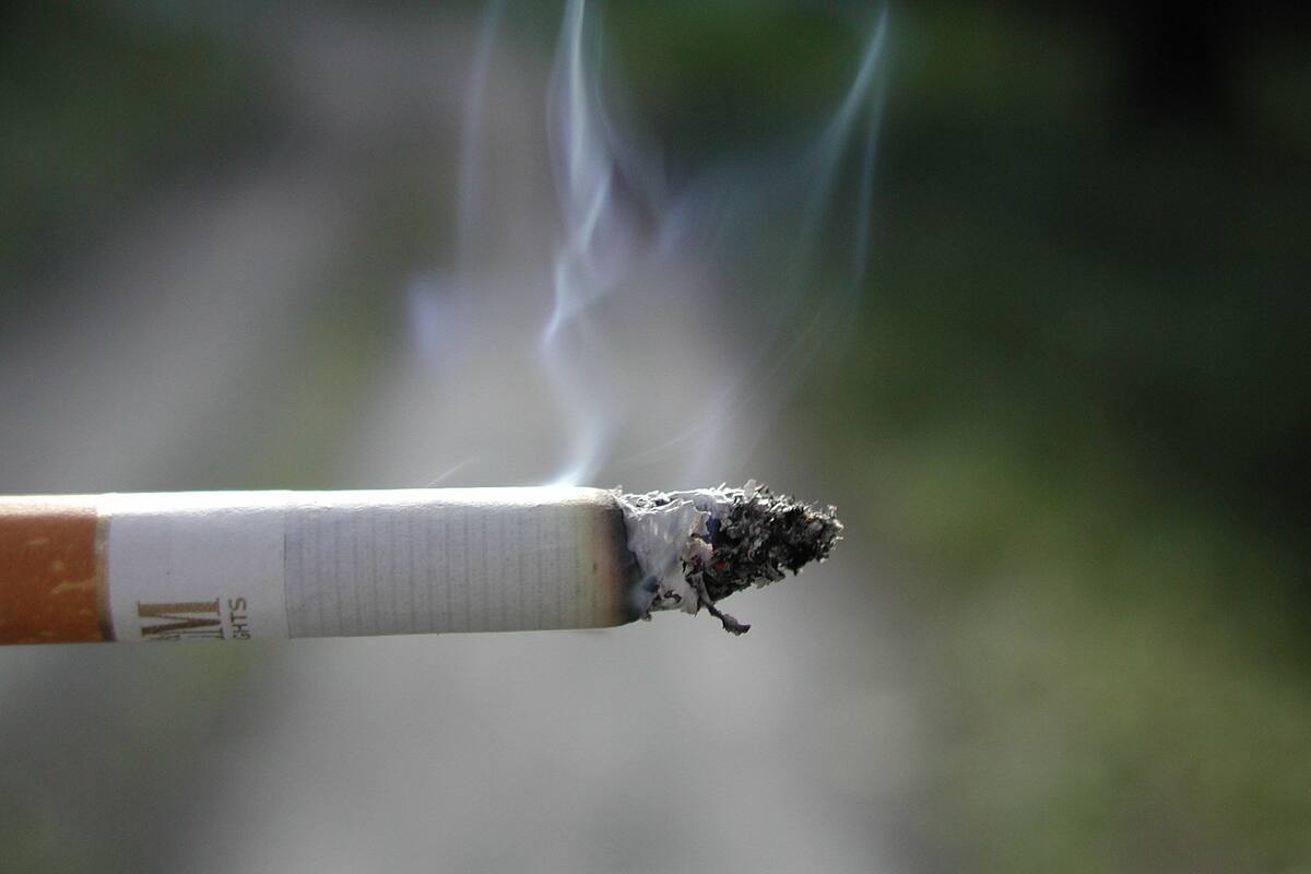 Estados Unidos planea prohibir venta de cigarros mentolados