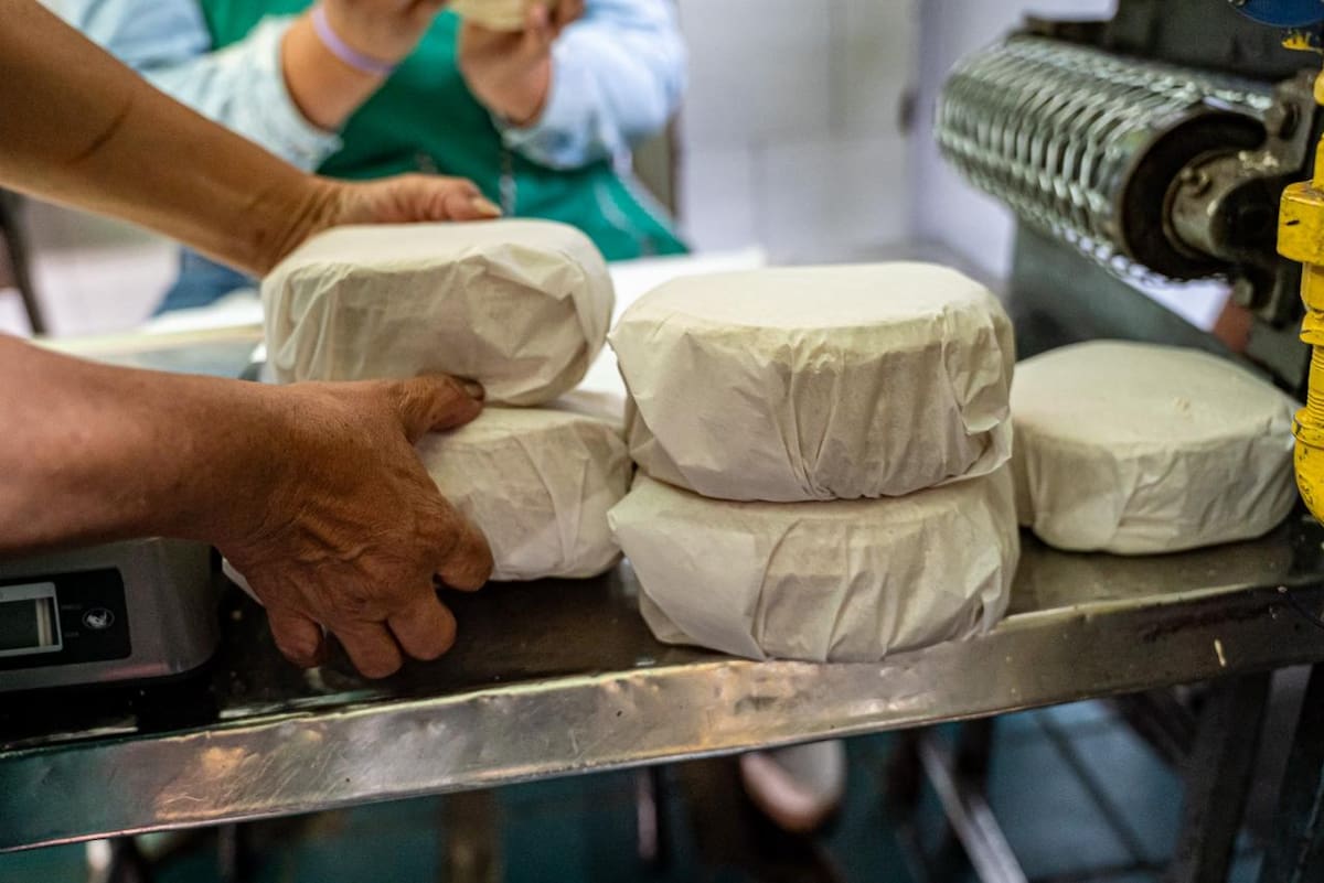 Comerciantes señalan que el abasto de insumos se mantiene estable y que el suministro de maíz continúa sin contratiempos. Foto: Border Zoom