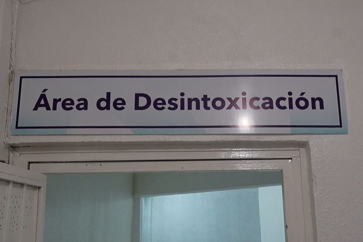 Ingreso a rehabilitación puede ser voluntario o por indicación médica
