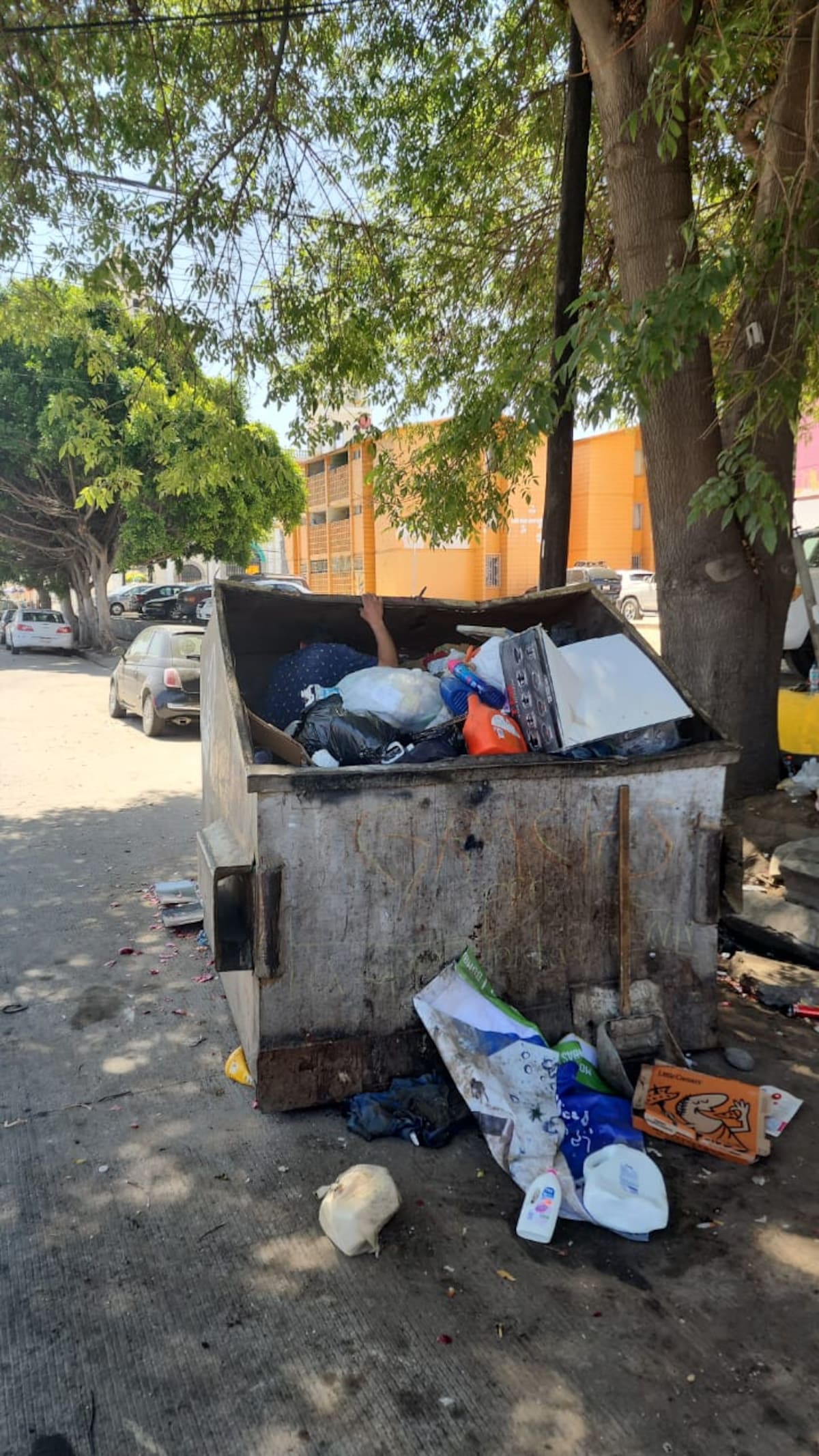 Foto: cortesía