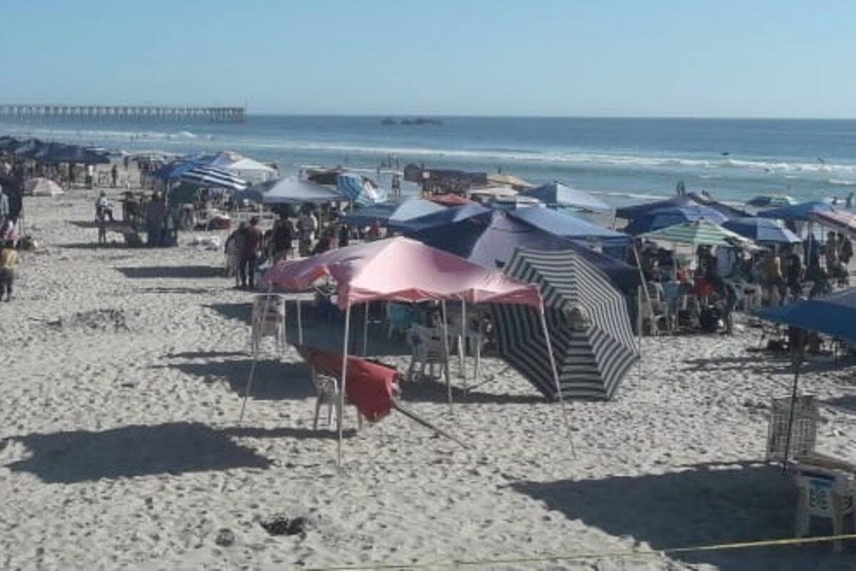 Tiene Rosarito previstos ingresos por 615 mdp