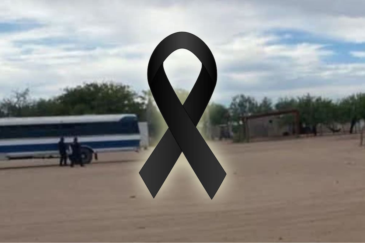 Tragedia en Las Bocas: niña corre a recibir a su mamá y muere arrollada por un camión