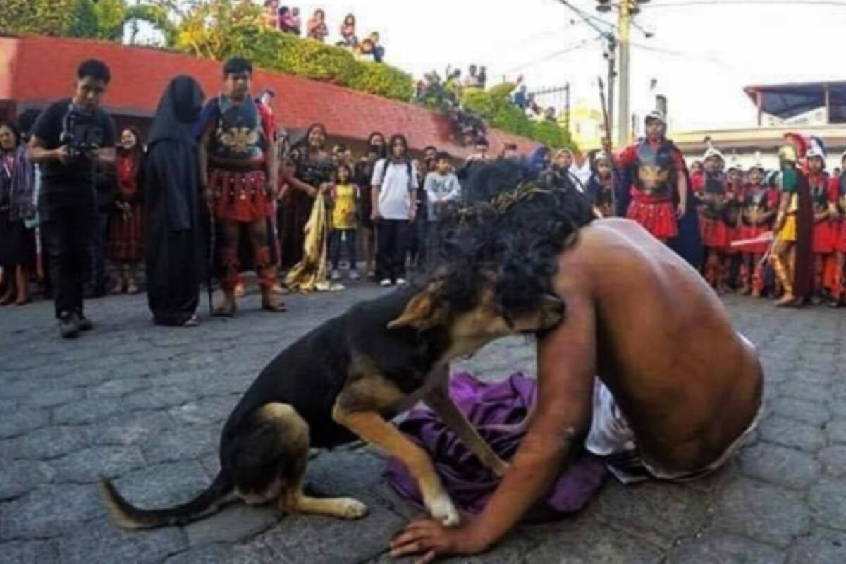 VIRAL: Perrito protege a Jesús durante viacrucis