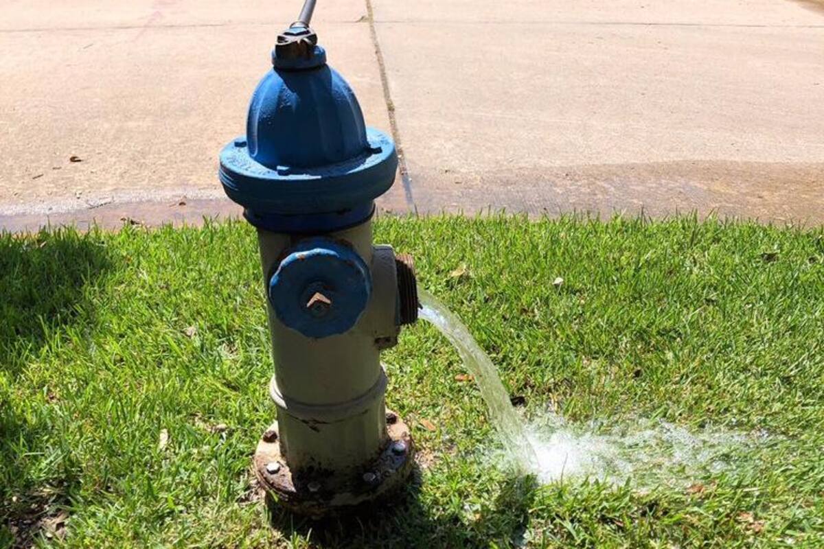 Declaran desastre en 8 ciudades de Texas por presencia de ameba "comecerebros" en el suministro de agua local