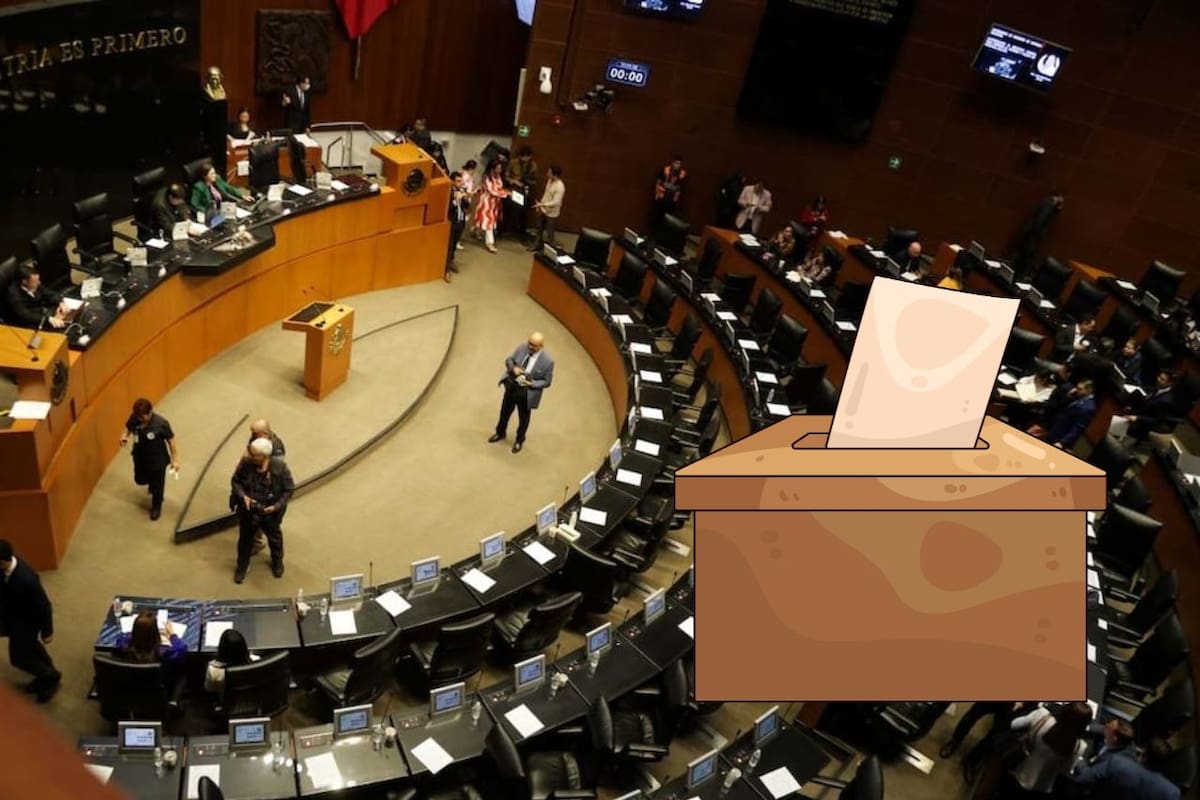 Senado aprobó crear una comisión para detectar a “narcocandidatos” y la oposición acusa aceleración del proceso sin tiempo a debate