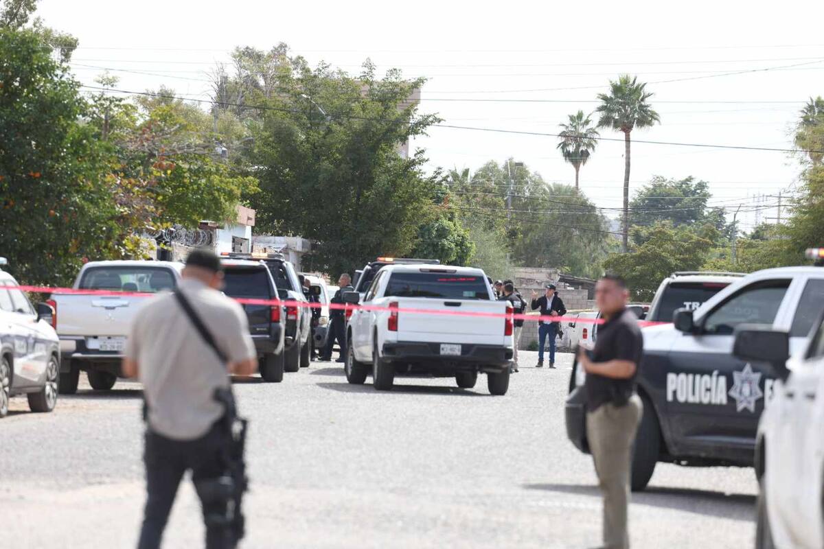 Detenidos y armas de fuego aseguradas por corporaciones policiacas en colonia Zapata