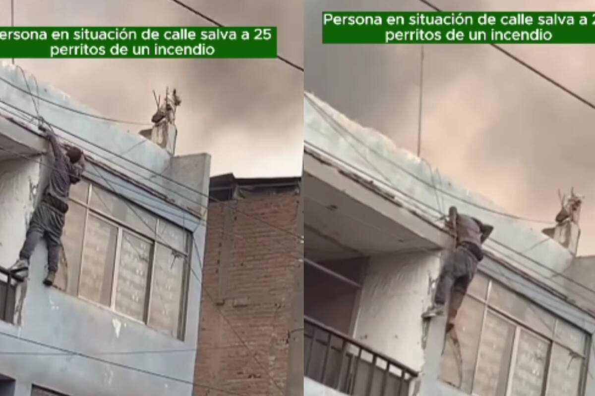 Indigente rescata a 25 perritos de un incendio en Peru