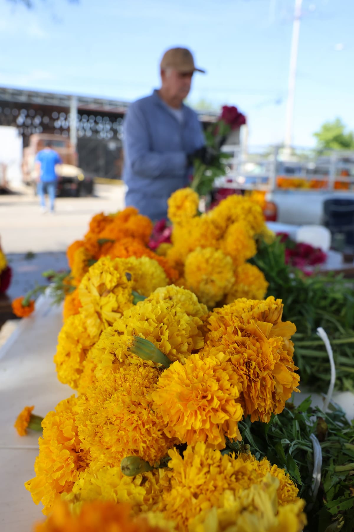 El ramo de cempasúchil de la Mesa de Ímuris se vende en 80 pesos y contiene más de dos docenas de flores.
