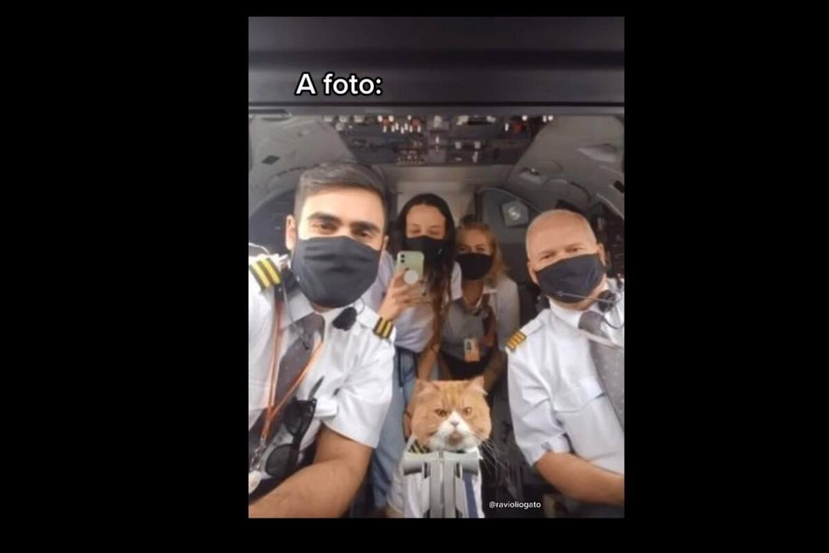 TIKTOK: Joven viaja a lado de su gato vestidos de pilotos y se vuelven virales