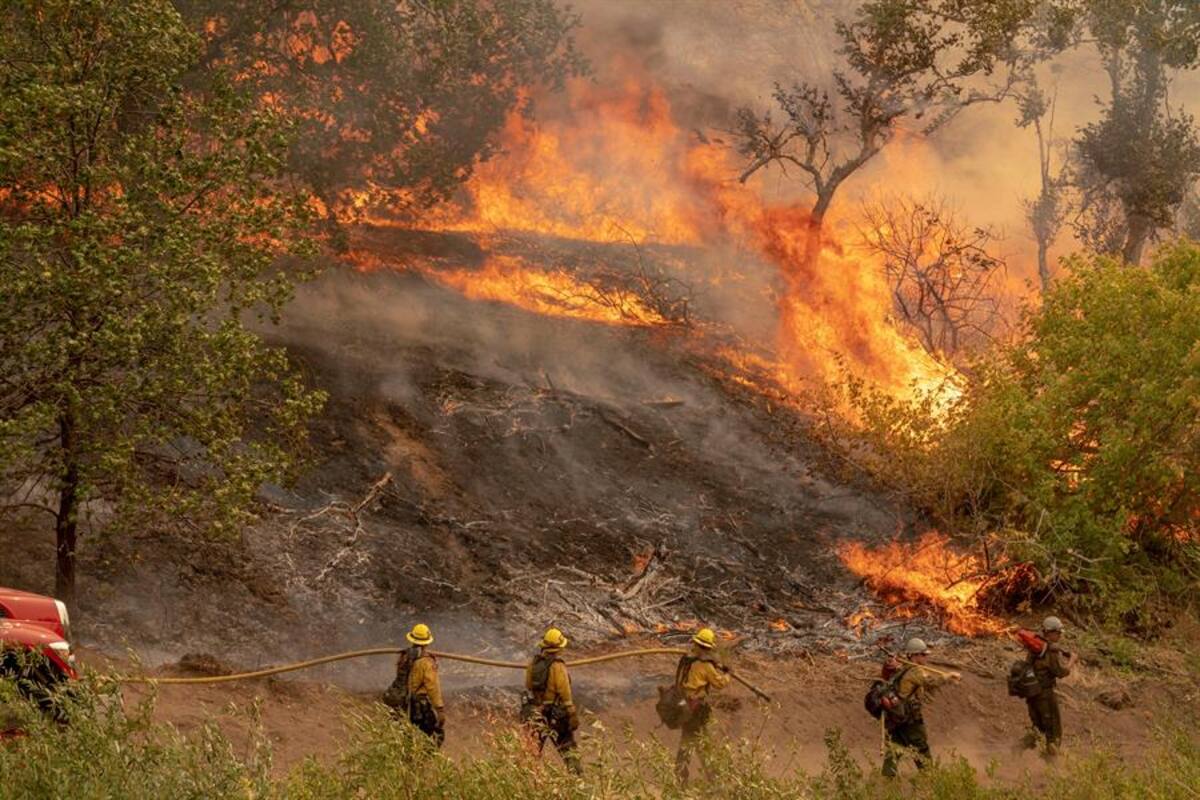Incendios en California: Cientos de miles de hogares sufren apagones