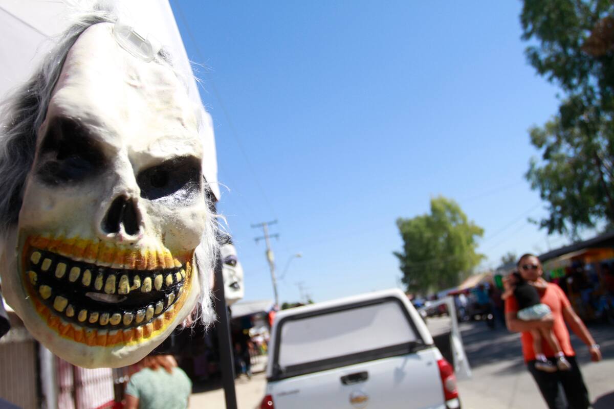 Halloween en Hermosillo: ¿Qué no hacer para evitar sanciones?