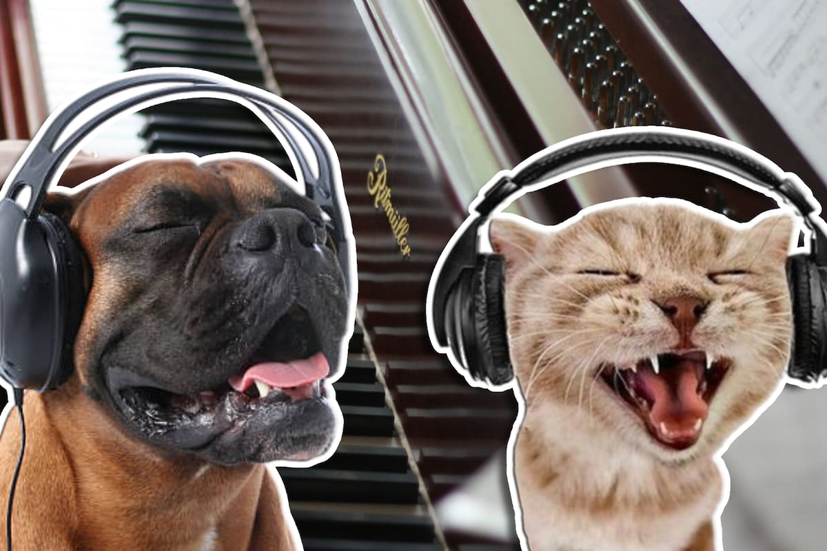 Estas son 10 canciones de amor que no sabías que tratan sobre mascotas