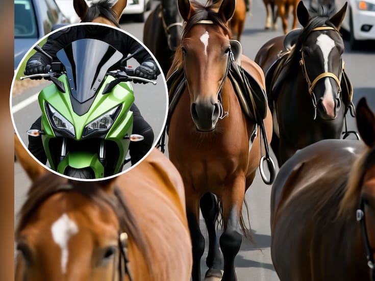 Motociclista muere tras chocar contra caballos en Hermosillo; probablemente manejaba a exceso de velocidad