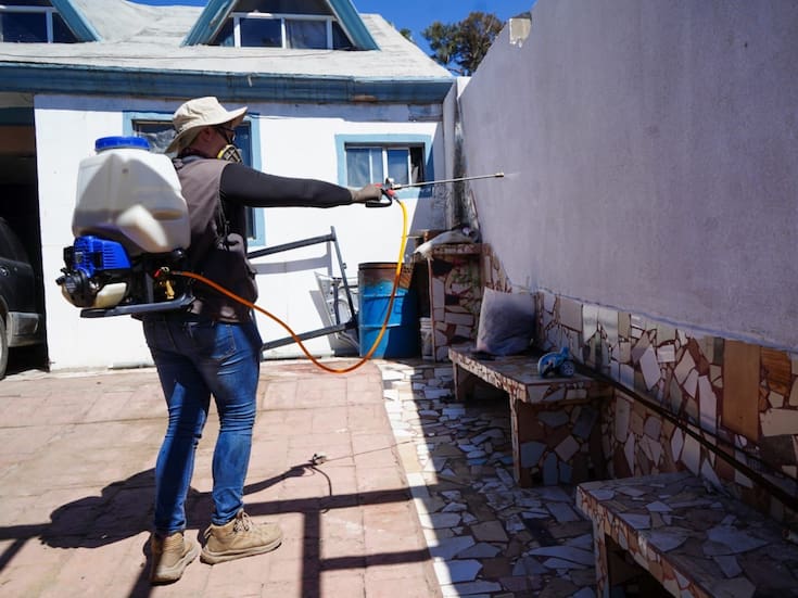 Refuerzan acciones contra garrapatas tras muerte de niña por rickettsiosis en Ensenada