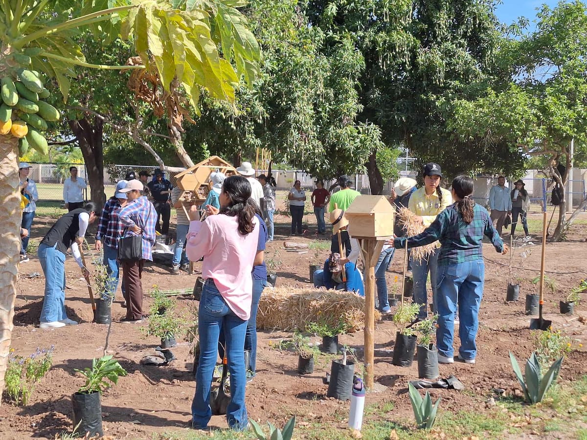 Diseñan en Sonora un jardín para salvar a los polinizadores nativos. FOTO: Mayra Echeverría