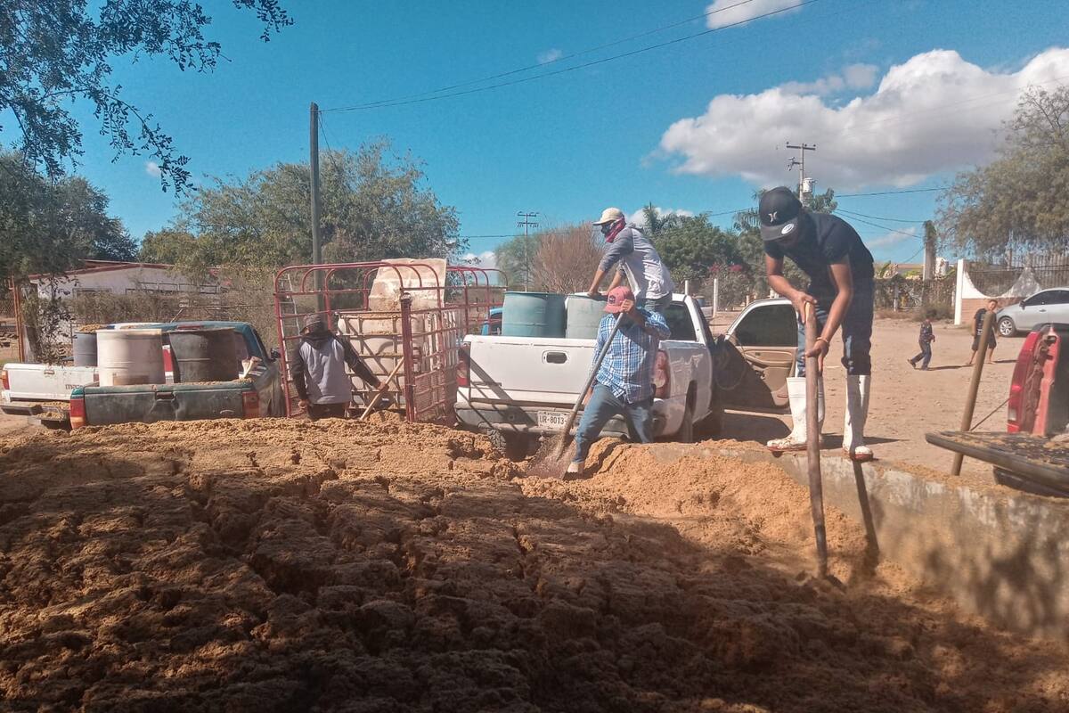 Apoyan a ganaderos del Sur de Sonora con bagazo