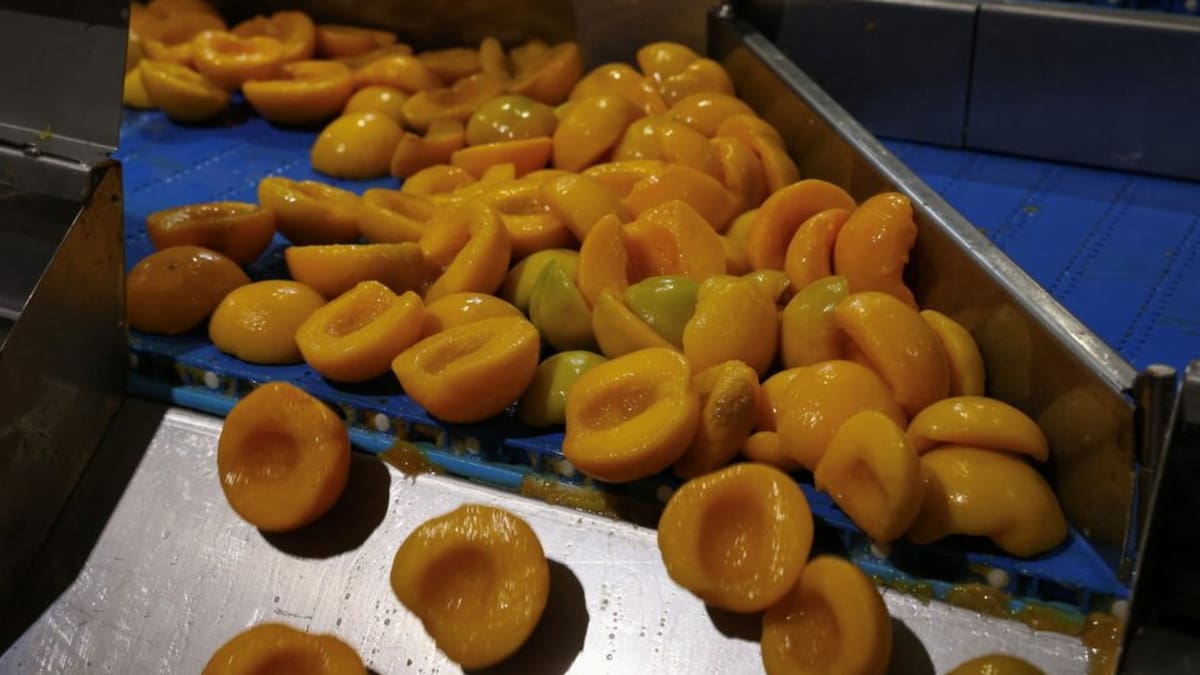 La cancelación de contratos de compra mantiene en incertidumbre la comercialización de miles de toneladas de durazno. /Reuters