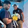 Rescatan a 21 perros víctimas de presunto maltrato animal en la Zona Centro de Tijuana