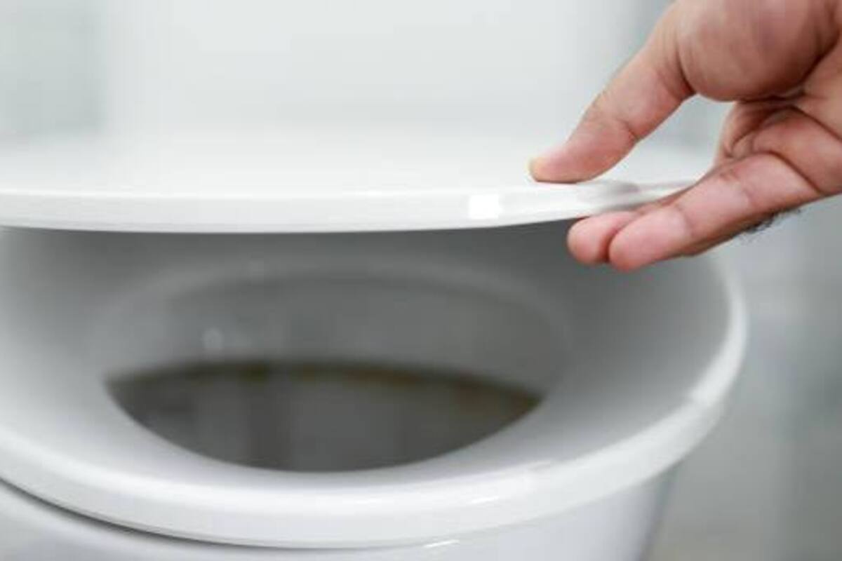 Lo que sucede cuando tiras de la cadena del WC con la tapa abierta